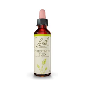 Chestnut Bud de Bach 20ml